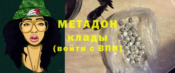 прущие грибы Михайловка