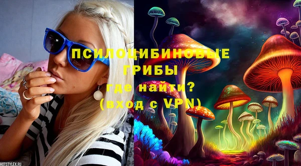 индика Наволоки