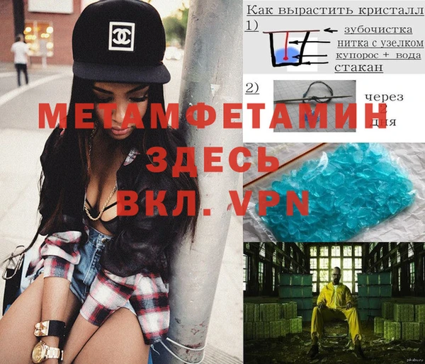 прущие грибы Михайловка