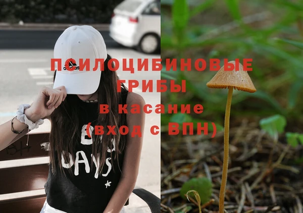 эйфоретик Медногорск