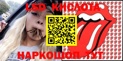 2c-b Кингисепп