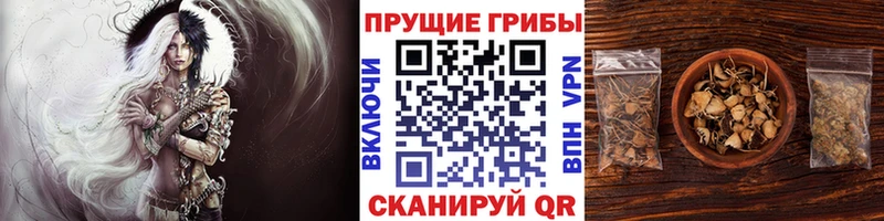 OMG зеркало  что такое   Майский  Псилоцибиновые грибы ЛСД 