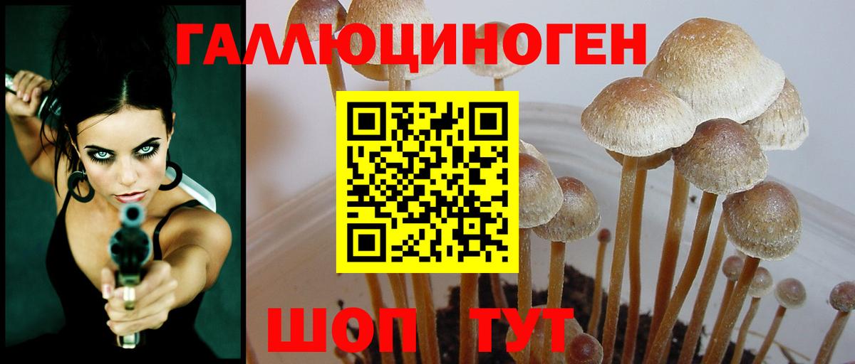 Псилоцибиновые грибы мицелий Майский