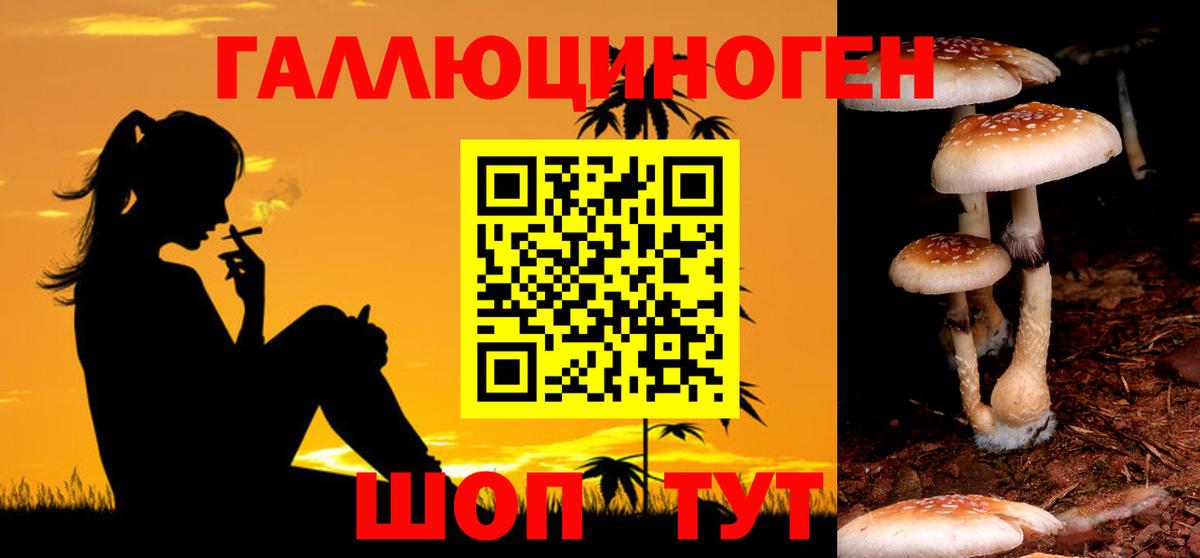 Псилоцибиновые грибы Psilocybe  Вход с VPN  Майский 